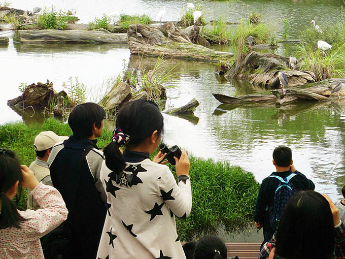 羅東自然教育中心：午後池畔賞鳥趣